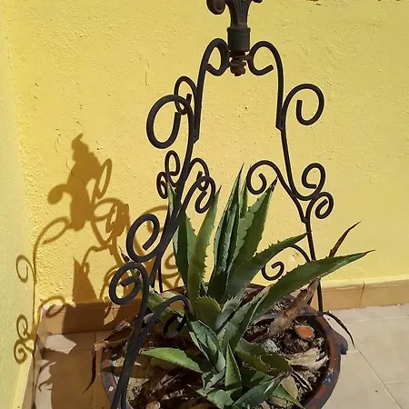 Chrysanthi Melitsa Apts. Vakantiehuis *