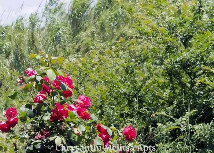 度假居 Chrysanthi Melitsa Apts. *