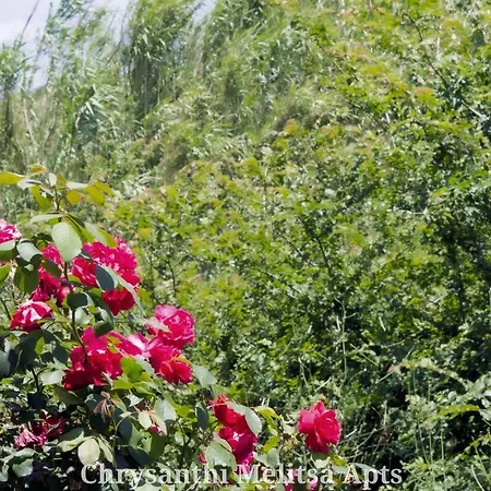 Prázdninový dům Chrysanthi Melitsa Apts. *