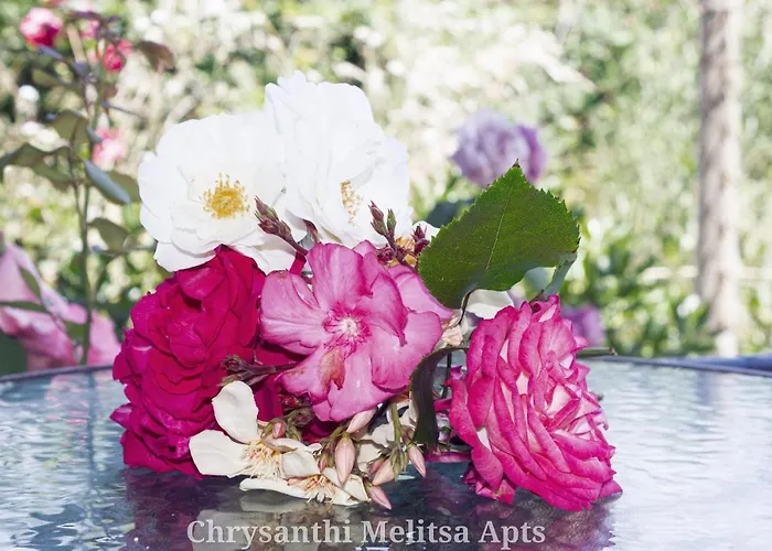 Chrysanthi Melitsa Apts. Σπίτι διακοπών *