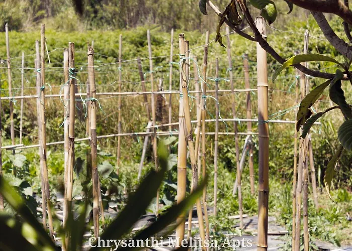 Σπίτι διακοπών Chrysanthi Melitsa Apts. Σιδάρι