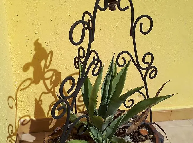 Chrysanthi Melitsa Apts. Σπίτι διακοπών *