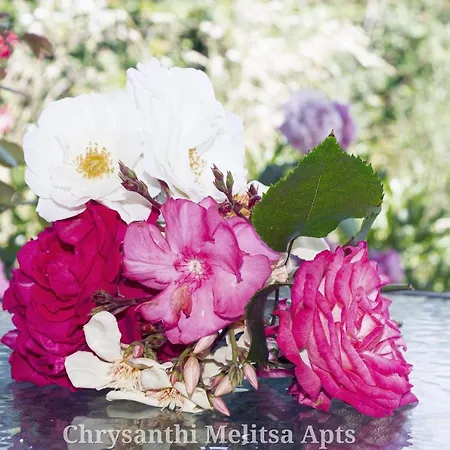 Chrysanthi Melitsa Apts. Σπίτι διακοπών *