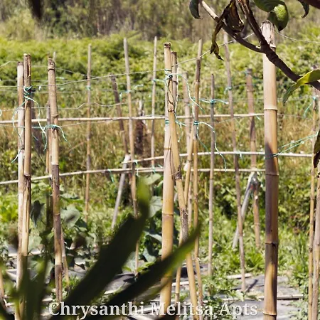 Feriehus Chrysanthi Melitsa Apts. Sidárion